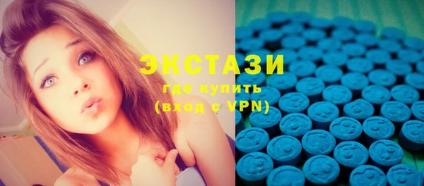 ECSTASY Богданович